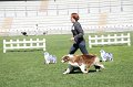 IMG_0136