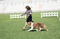 IMG_0138