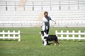 IMG_0140