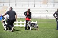 IMG_0141