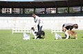 IMG_0158