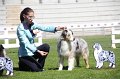 IMG_0181