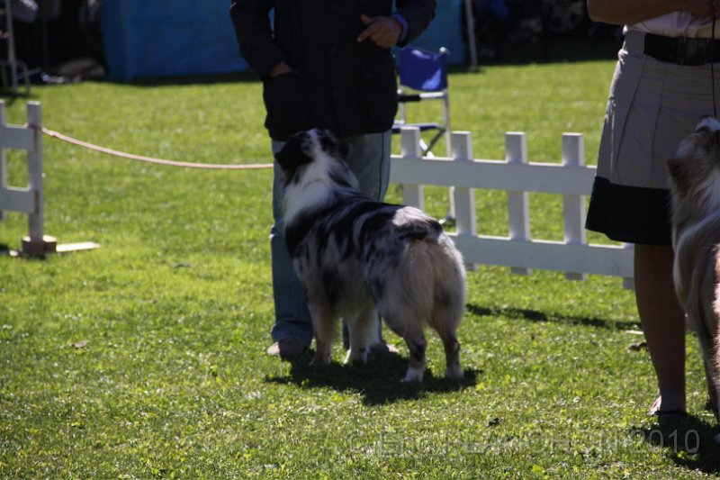 IMG_0478.JPG