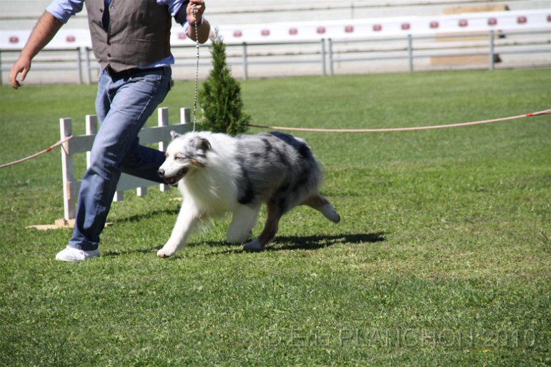 IMG_0493.JPG