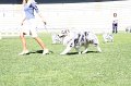 IMG_0335