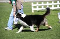 IMG_0336