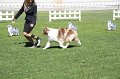 IMG_0342