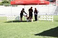 IMG_0343