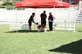 IMG_0344