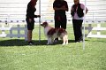 IMG_0346