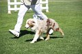 IMG_0349