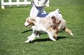 IMG_0350