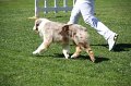 IMG_0352