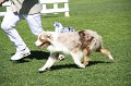 IMG_0353