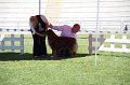 IMG_0357
