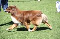 IMG_0359