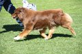 IMG_0362