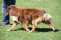 IMG_0363