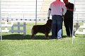 IMG_0364