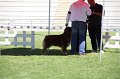IMG_0367