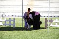 IMG_0369