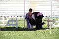 IMG_0370