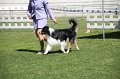 IMG_0371