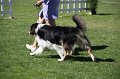 IMG_0372