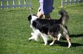 IMG_0374