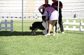 IMG_0375