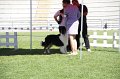 IMG_0377