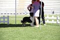 IMG_0379
