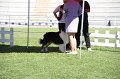 IMG_0380