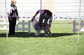 IMG_0391