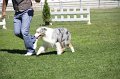 IMG_0396