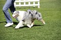 IMG_0397