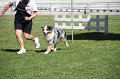 IMG_0409