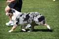 IMG_0414