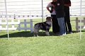 IMG_0426