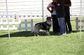 IMG_0427