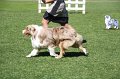 IMG_0435