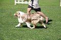 IMG_0436