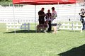 IMG_0440