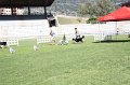 IMG_0444