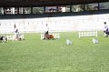 IMG_0453