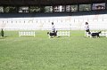 IMG_0454