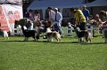 IMG_0466