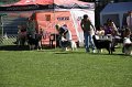 IMG_0469