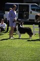 IMG_0482