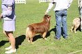 IMG_0487